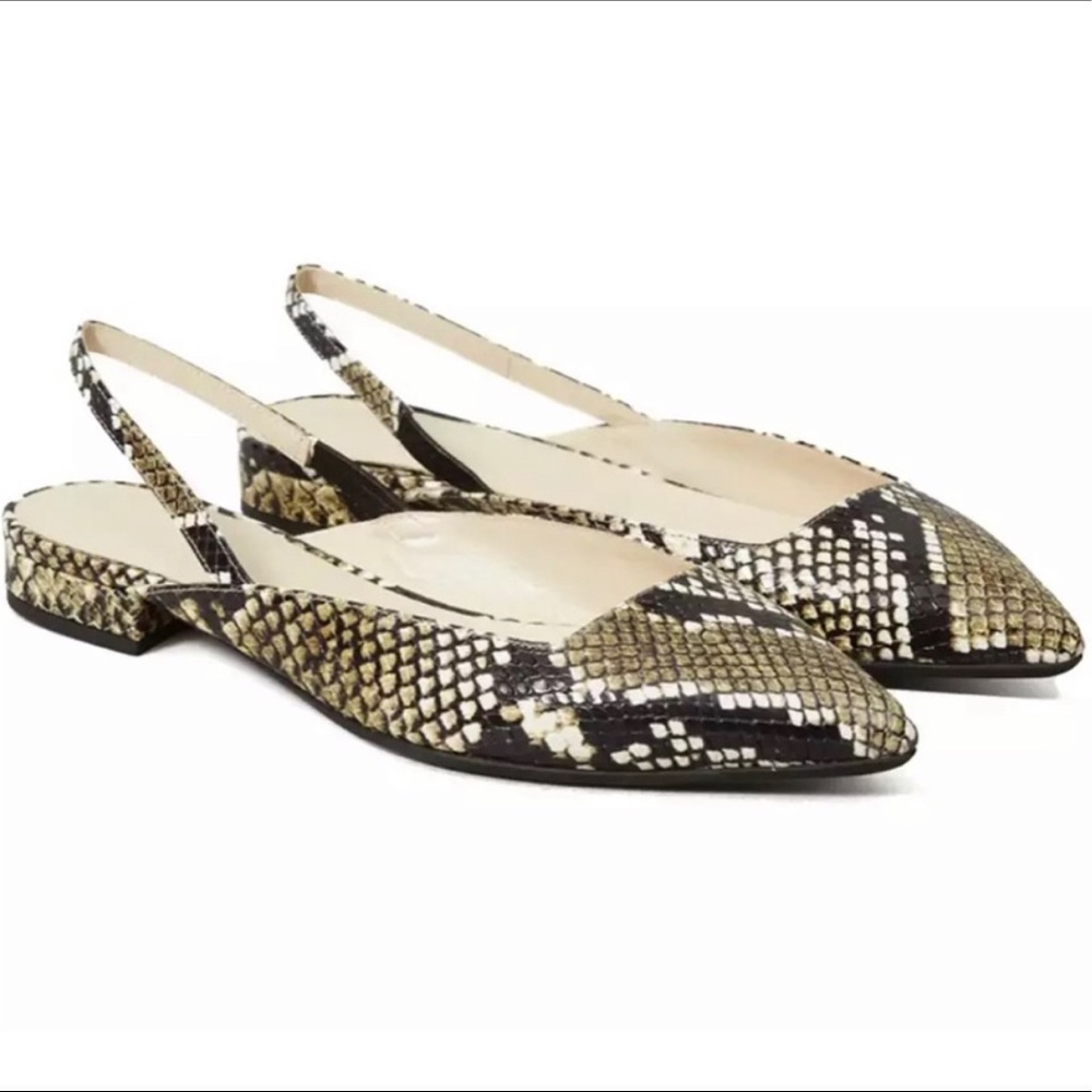 Everlane Slingback Python Shoe Size 7.5. - image 2